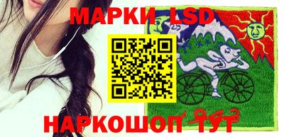 стафф Новодвинск