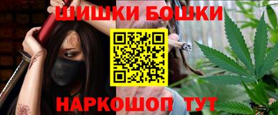 стафф Новодвинск