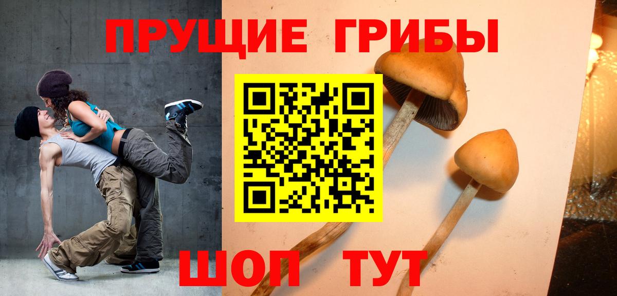 Псилоцибиновые грибы Psilocybine cubensis  Вход с VPN  закладка  Сертолово 