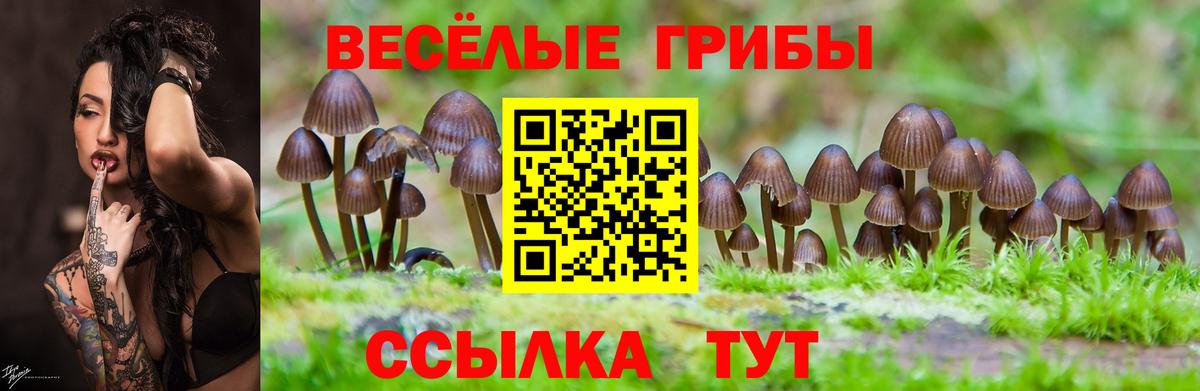 Псилоцибиновые грибы MAGIC MUSHROOMS Сертолово